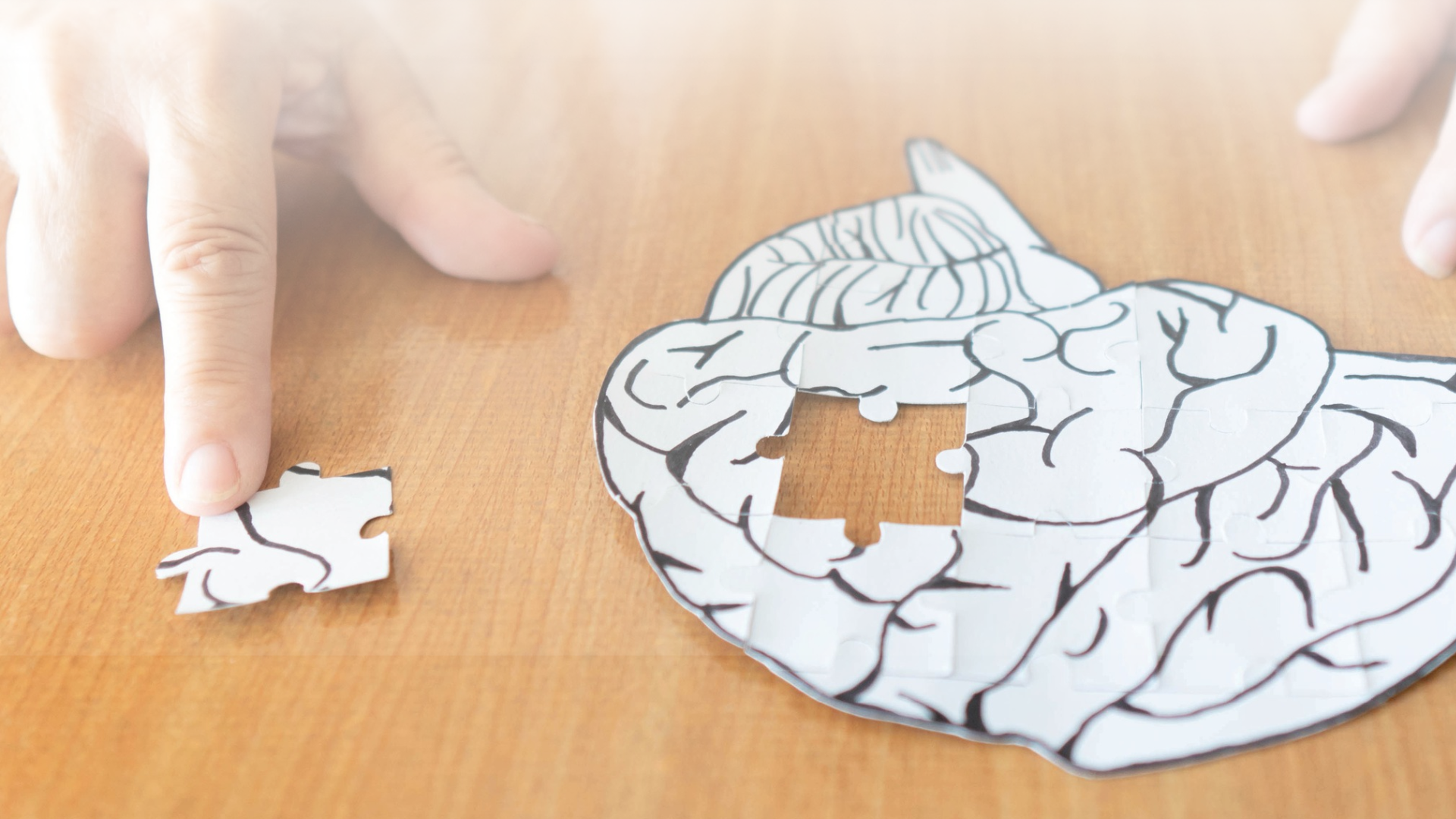 Close-up of a person's hands assembling a white jigsaw puzzle shaped like a human brain on a wooden table.