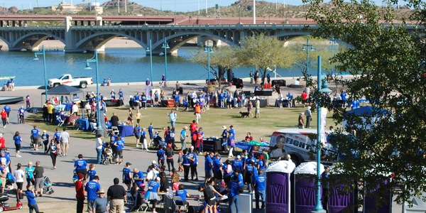 Walk the fight park event aerial view